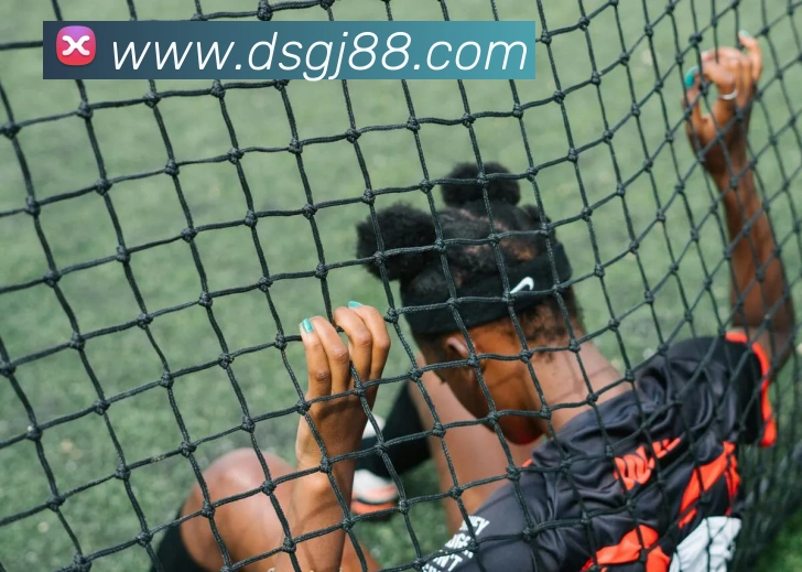 东升国际服务体系