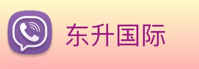 东升国际 Logo